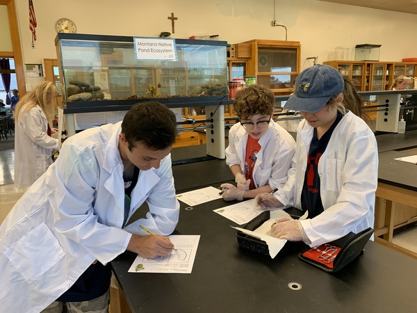 Juniors Aidan O'Neil, Julia Reger-Brown, and Tia Schlosser studying a lab report