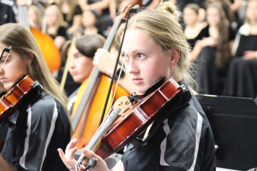 12th grader Olivia Tourtlotte playing the viola during the 2022 Fall Music Concert