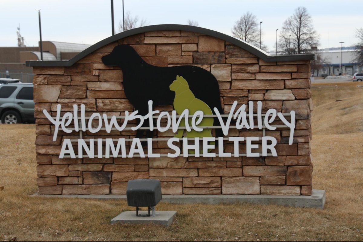 Yellowstone Valley Animal shelter. 3.2.24