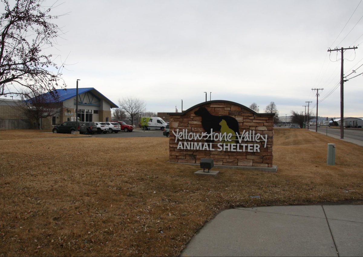 Yellowstone Valley Animal shelter. 3.2.24