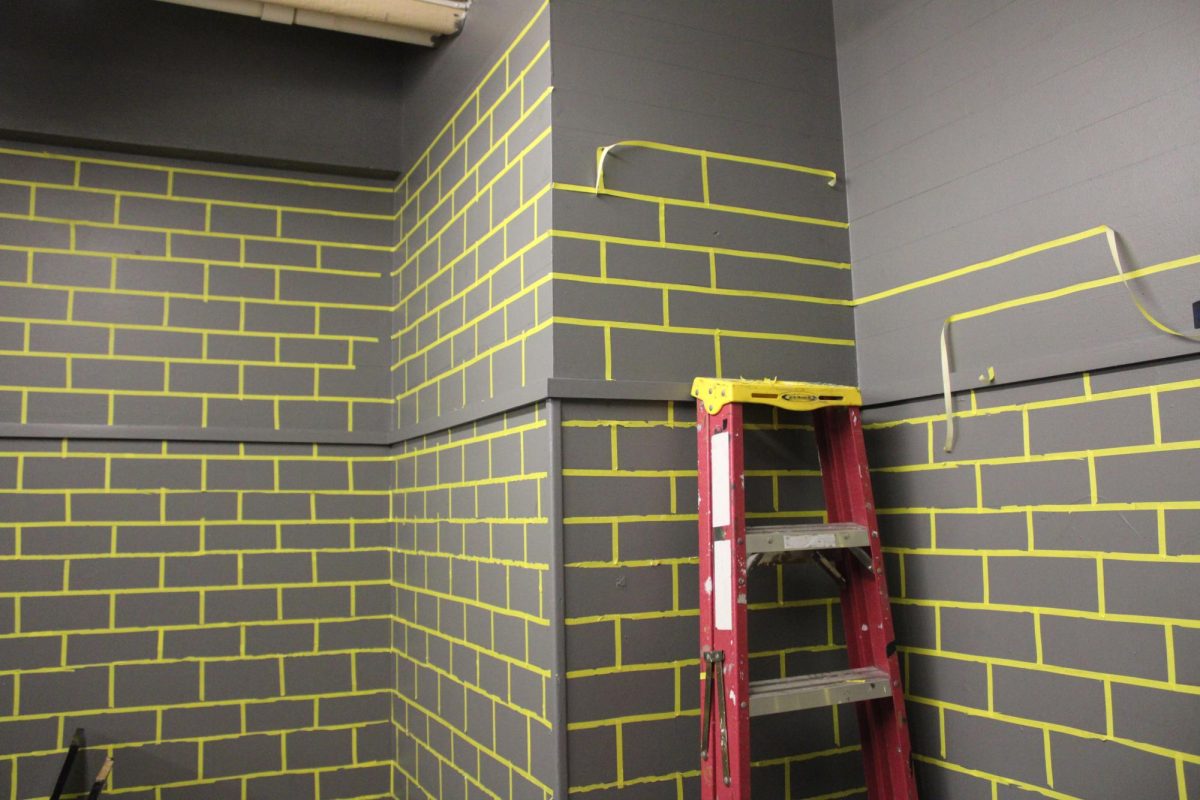 05.15.24 Wall being prepped for renovations in the basement.