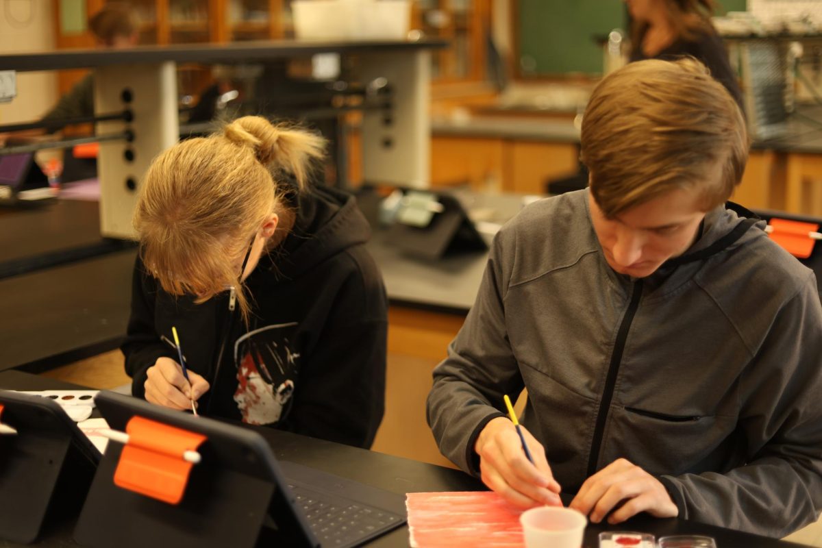 10.8.24 (For Social Media) From L-R
Junior, Cyann Crabtree and senior, Matthew Horncharnesky creating a watercolor project for Anatomy and Physiology. 