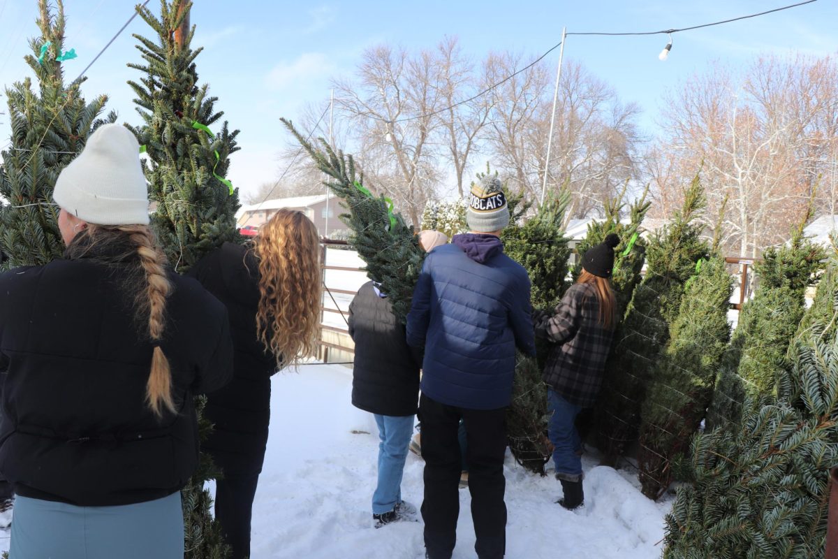 11.24.24
Central students taking Christmas trees to be put away.