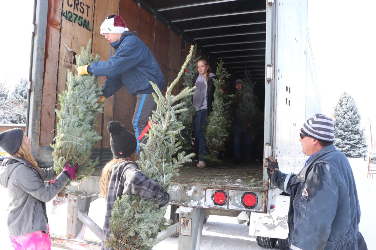 11.24.24
Central student gets a tree to go and out away.