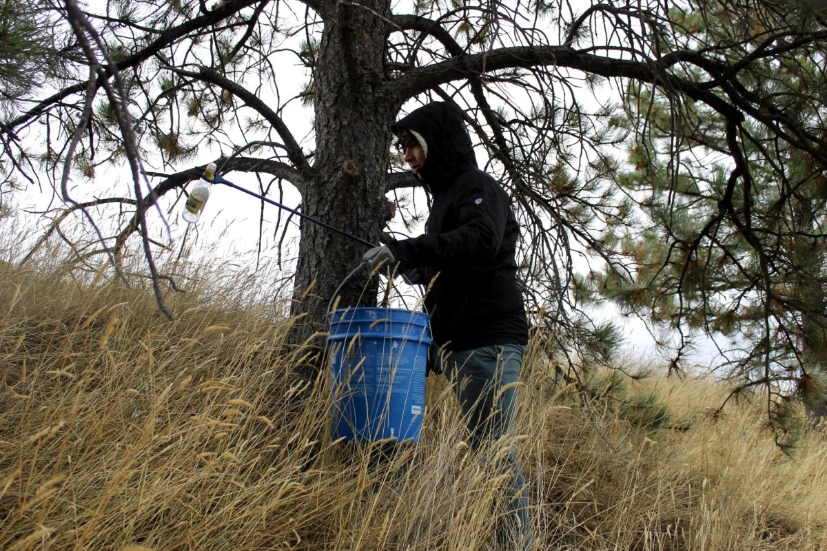10.11.25 Junior Joshua Strydom picking up a bottle to throw away.
